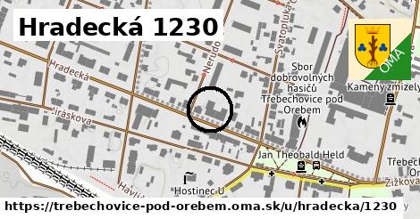 Hradecká 1230, Třebechovice pod Orebem