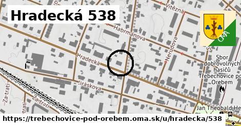 Hradecká 538, Třebechovice pod Orebem