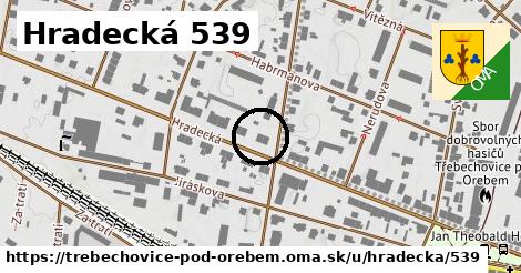 Hradecká 539, Třebechovice pod Orebem