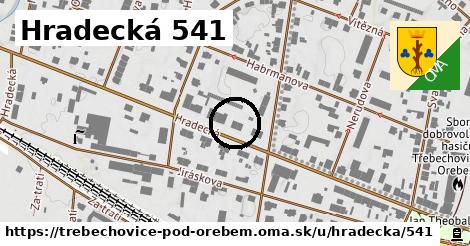 Hradecká 541, Třebechovice pod Orebem