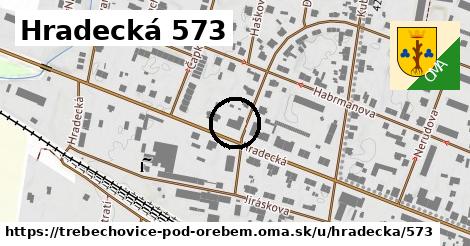 Hradecká 573, Třebechovice pod Orebem