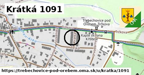 Krátká 1091, Třebechovice pod Orebem