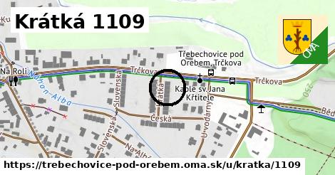 Krátká 1109, Třebechovice pod Orebem