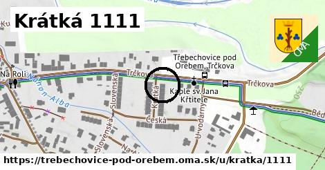 Krátká 1111, Třebechovice pod Orebem