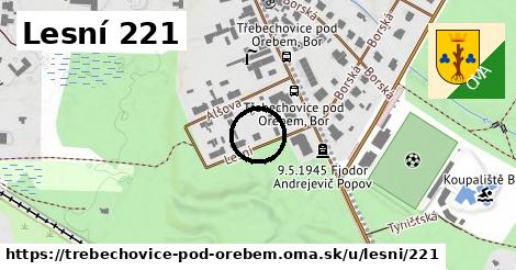 Lesní 221, Třebechovice pod Orebem