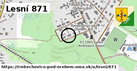 Lesní 871, Třebechovice pod Orebem