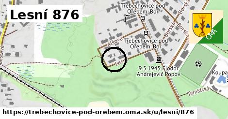 Lesní 876, Třebechovice pod Orebem