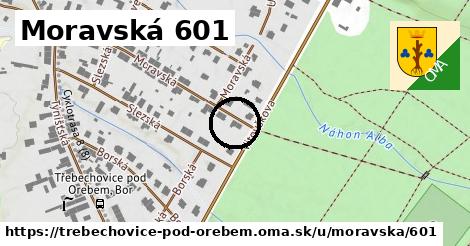 Moravská 601, Třebechovice pod Orebem