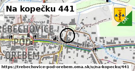 Na kopečku 441, Třebechovice pod Orebem