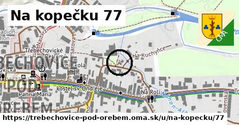 Na kopečku 77, Třebechovice pod Orebem