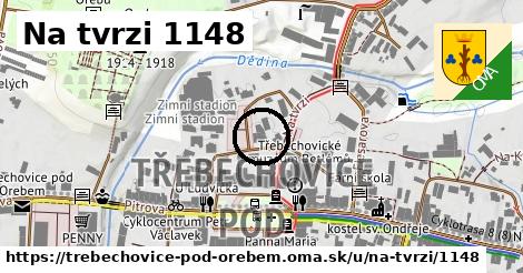 Na tvrzi 1148, Třebechovice pod Orebem