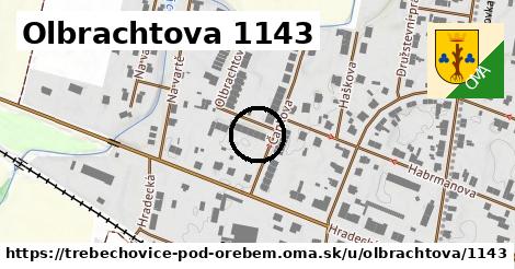Olbrachtova 1143, Třebechovice pod Orebem