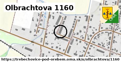 Olbrachtova 1160, Třebechovice pod Orebem
