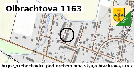 Olbrachtova 1163, Třebechovice pod Orebem