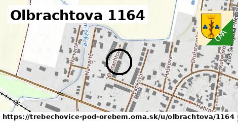 Olbrachtova 1164, Třebechovice pod Orebem