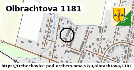 Olbrachtova 1181, Třebechovice pod Orebem