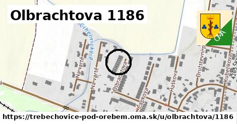Olbrachtova 1186, Třebechovice pod Orebem