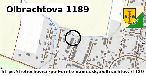 Olbrachtova 1189, Třebechovice pod Orebem