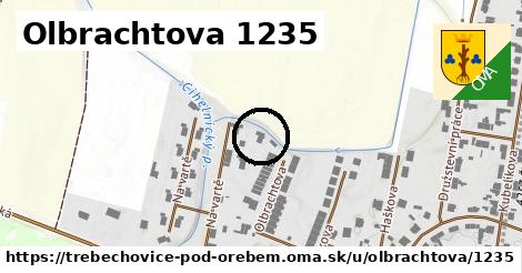 Olbrachtova 1235, Třebechovice pod Orebem