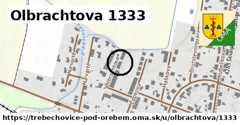 Olbrachtova 1333, Třebechovice pod Orebem