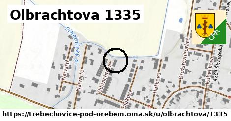 Olbrachtova 1335, Třebechovice pod Orebem