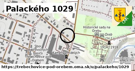 Palackého 1029, Třebechovice pod Orebem