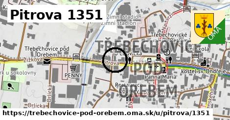Pitrova 1351, Třebechovice pod Orebem