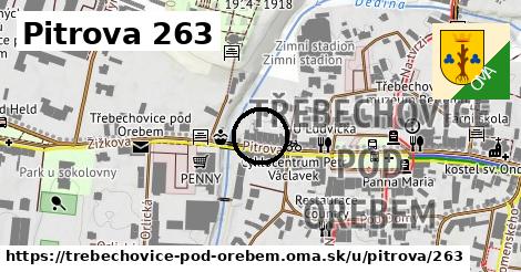 Pitrova 263, Třebechovice pod Orebem