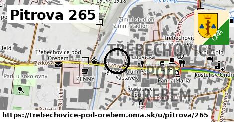 Pitrova 265, Třebechovice pod Orebem