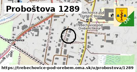 Proboštova 1289, Třebechovice pod Orebem