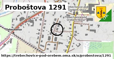 Proboštova 1291, Třebechovice pod Orebem