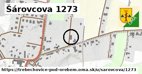 Šárovcova 1273, Třebechovice pod Orebem