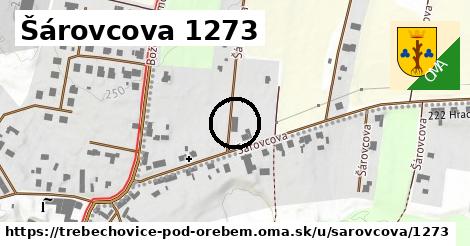 Šárovcova 1273, Třebechovice pod Orebem