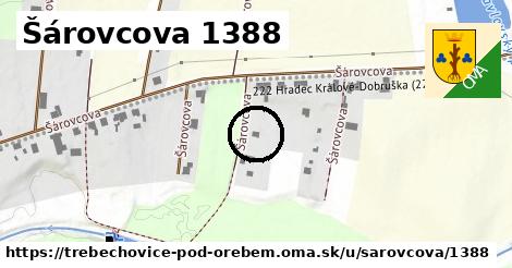 Šárovcova 1388, Třebechovice pod Orebem