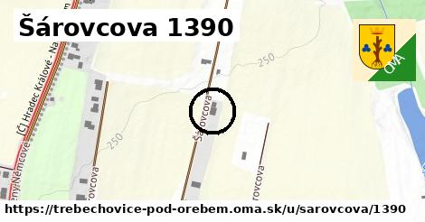 Šárovcova 1390, Třebechovice pod Orebem