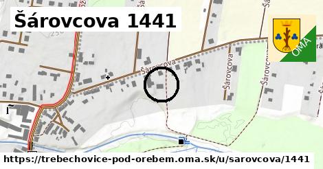 Šárovcova 1441, Třebechovice pod Orebem