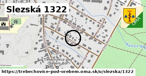 Slezská 1322, Třebechovice pod Orebem