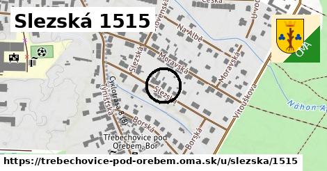 Slezská 1515, Třebechovice pod Orebem