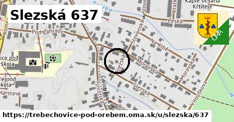 Slezská 637, Třebechovice pod Orebem