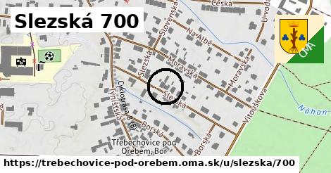 Slezská 700, Třebechovice pod Orebem