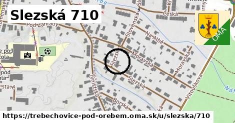 Slezská 710, Třebechovice pod Orebem