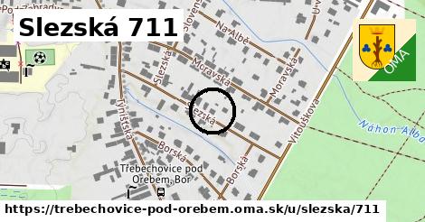 Slezská 711, Třebechovice pod Orebem