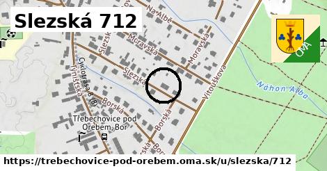 Slezská 712, Třebechovice pod Orebem