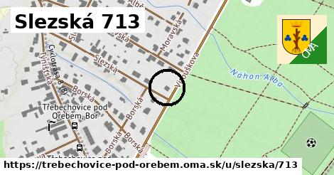 Slezská 713, Třebechovice pod Orebem