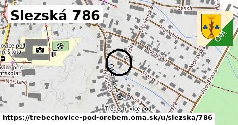 Slezská 786, Třebechovice pod Orebem