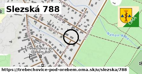 Slezská 788, Třebechovice pod Orebem