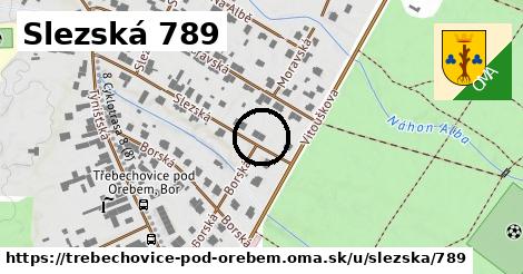 Slezská 789, Třebechovice pod Orebem