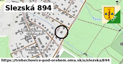 Slezská 894, Třebechovice pod Orebem