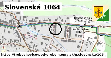 Slovenská 1064, Třebechovice pod Orebem