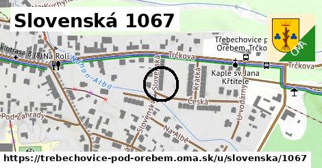 Slovenská 1067, Třebechovice pod Orebem